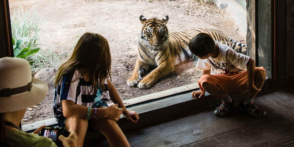 benefits of zoo visits for your children