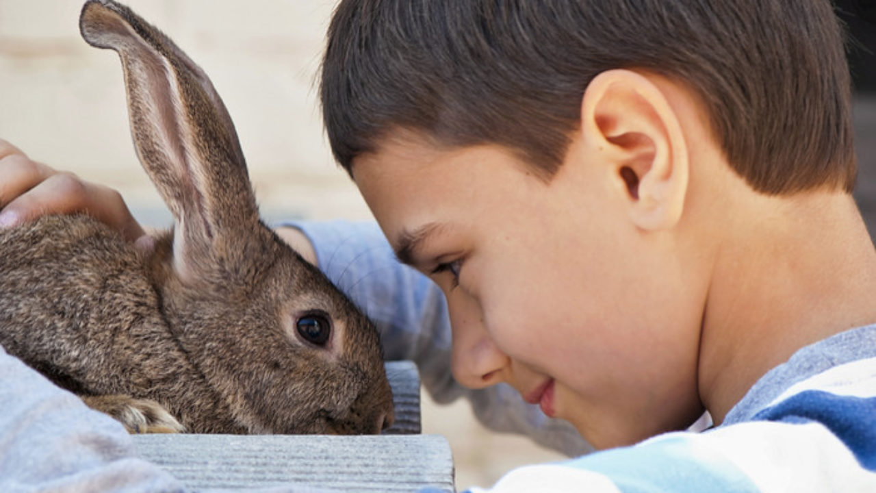 Ways To Teach Your Kids Compassion Towards Animals - Winmore