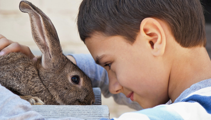 Teach Your Kids Compassion Towards Animals